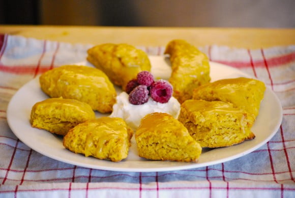 pumpkinscones pumpkinscones