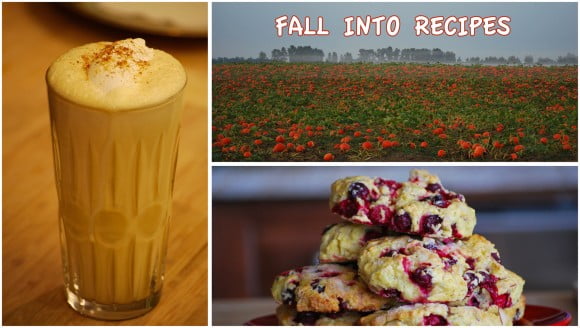 FALLRECIPES