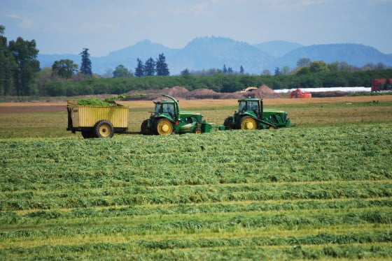 harvest