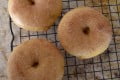 pumpkin_donuts pumpkin_donuts