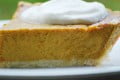 pumpkin_pie_mix pumpkin_pie_mix