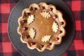 pie_2